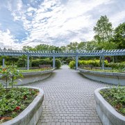 Rosetta Garden, Scarborough