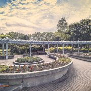 Rosetta Garden, Scarborough