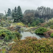 Abkhazi Garden, Victoria BC